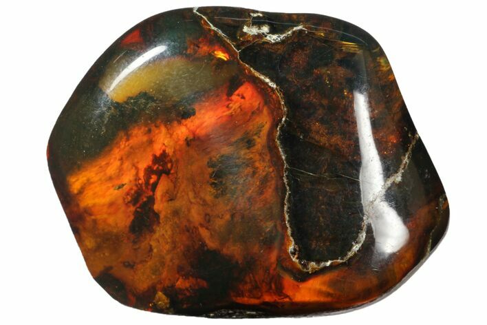 Polished Chiapas Amber ( g) - Mexico #114899